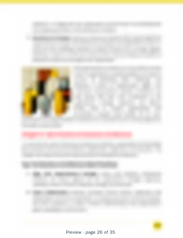 Blurred preview of page 26 of 35 of Asset Management Business Architecture Toolkit