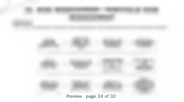 Blurred preview of page 24 of 32 of Hedge Funds Value Streams