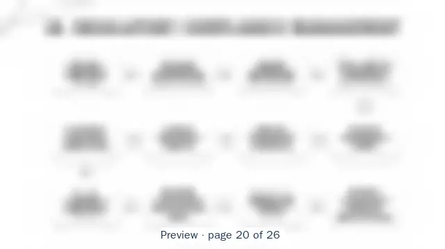 Blurred preview of page 20 of 26 of Payments Value Streams
