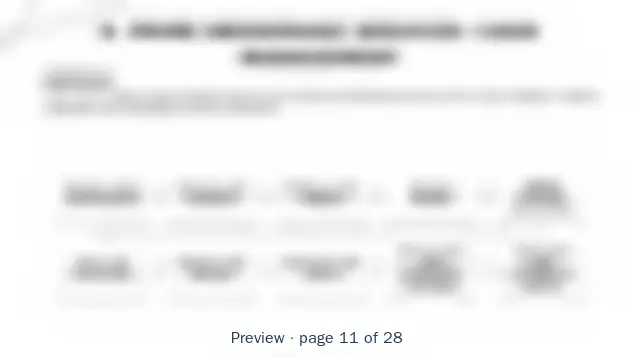 Blurred preview of page 11 of 28 of Prime Brokerage Value Streams