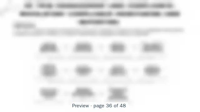 Blurred preview of page 36 of 48 of Property and Casualty Insurance Value Streams