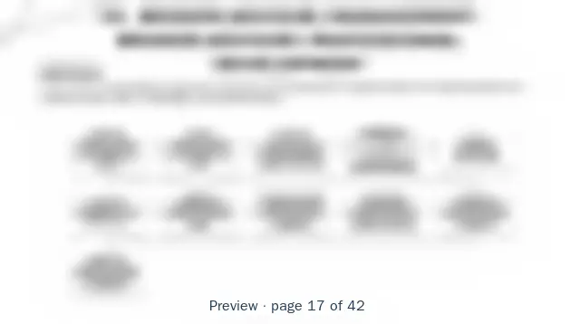 Blurred preview of page 17 of 42 of Wealth Management Value Streams