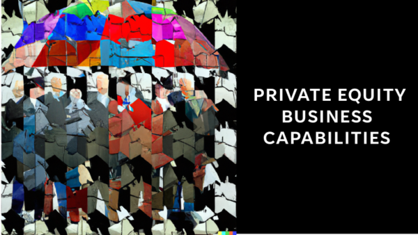 Private Equity Capability Model